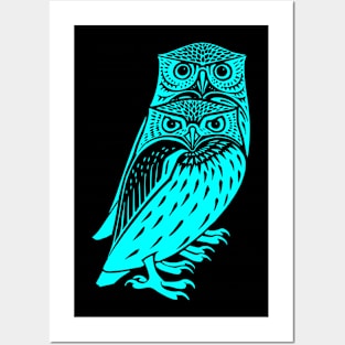 2 owls Posters and Art